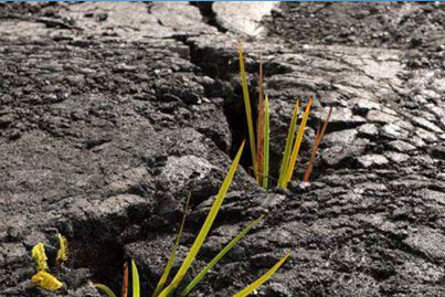 园地视察土壤检测-大荔情形土壤检测,大荔土壤园地视察,大荔园地情形视察,大荔场调土壤修复,大荔土壤45项检测,大荔土壤园地视察机构,大荔土壤45项检测机构,大荔土壤挥发性有机物检测,大荔土壤半挥发性有机物检测,大荔土壤重金属检测