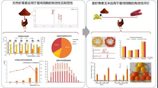 新利体育luck18·(中国)在线官方网站